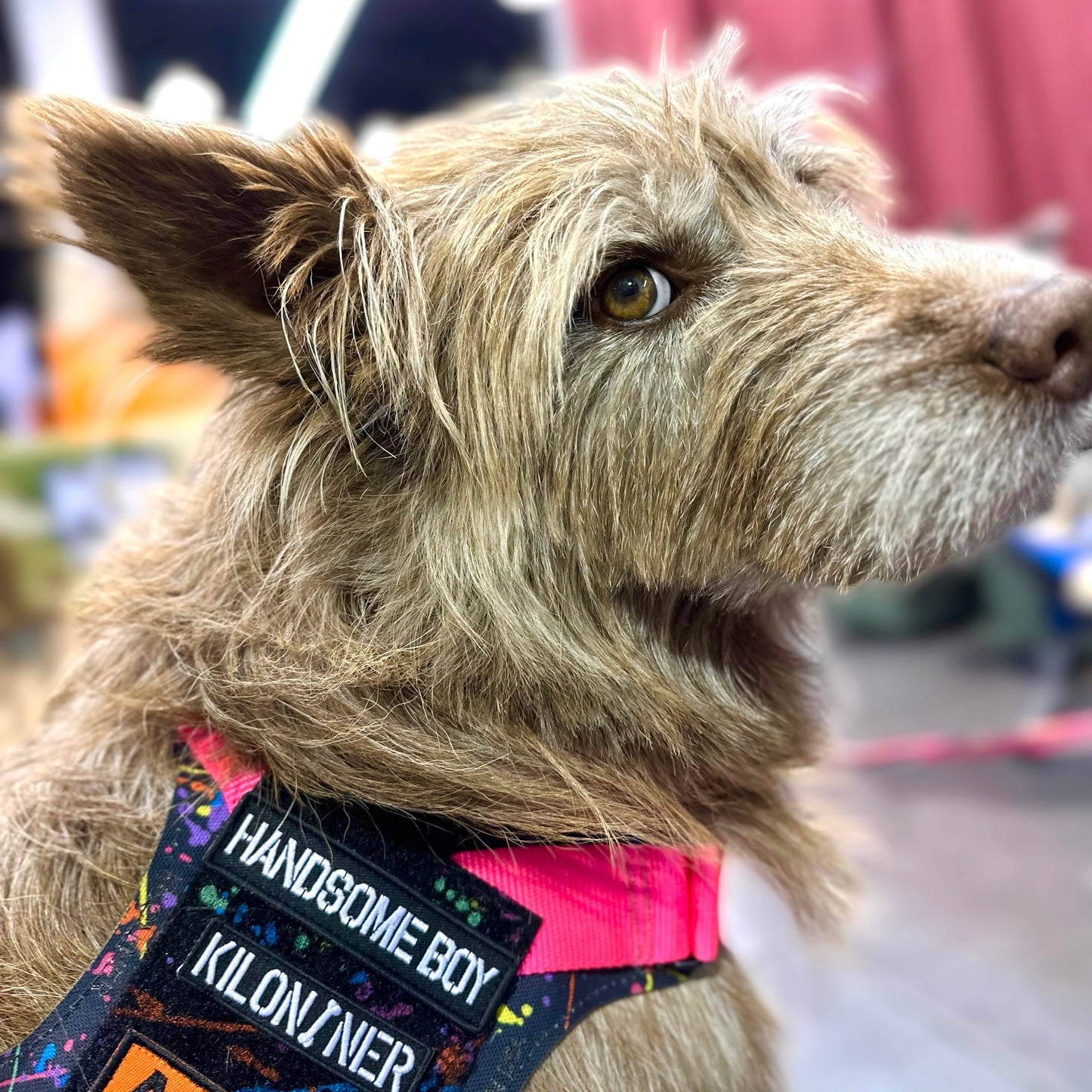 Mini Handsome Boy Morale Patch