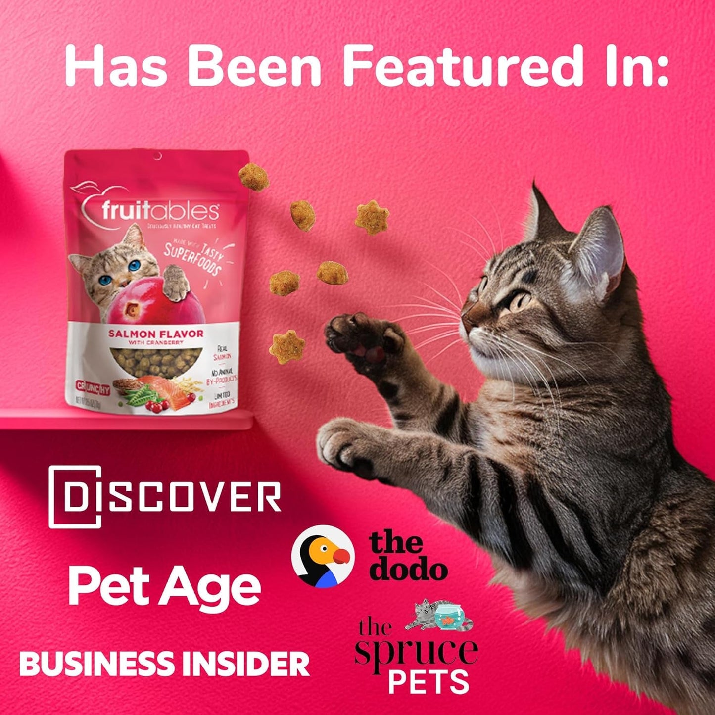 Cat Crunchy Treats made with salmon