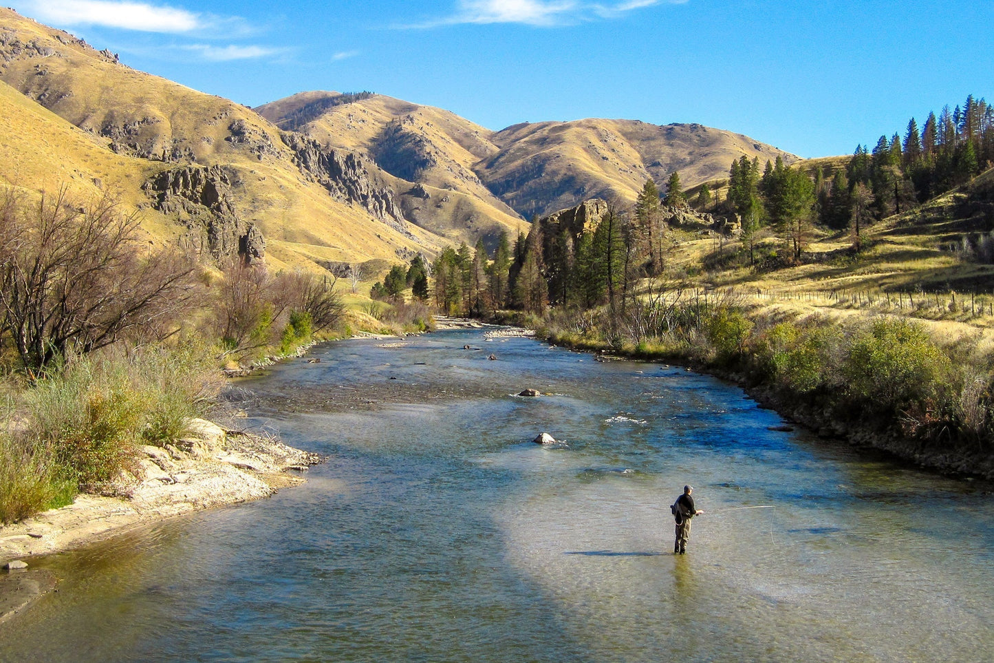 3 Pack Bead Head Red Zebra Midge Still Water Nymph Fly Fishing Fly Hook Size 16 - Triathlete Store