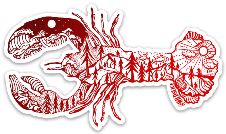 Red Lobster 4”