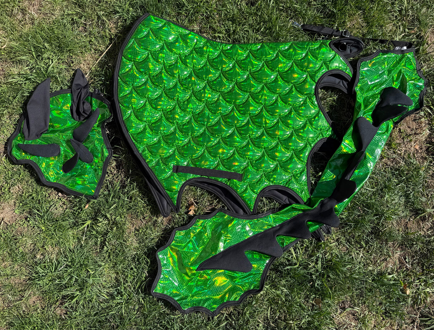 LAST CALL - Dragon Wings