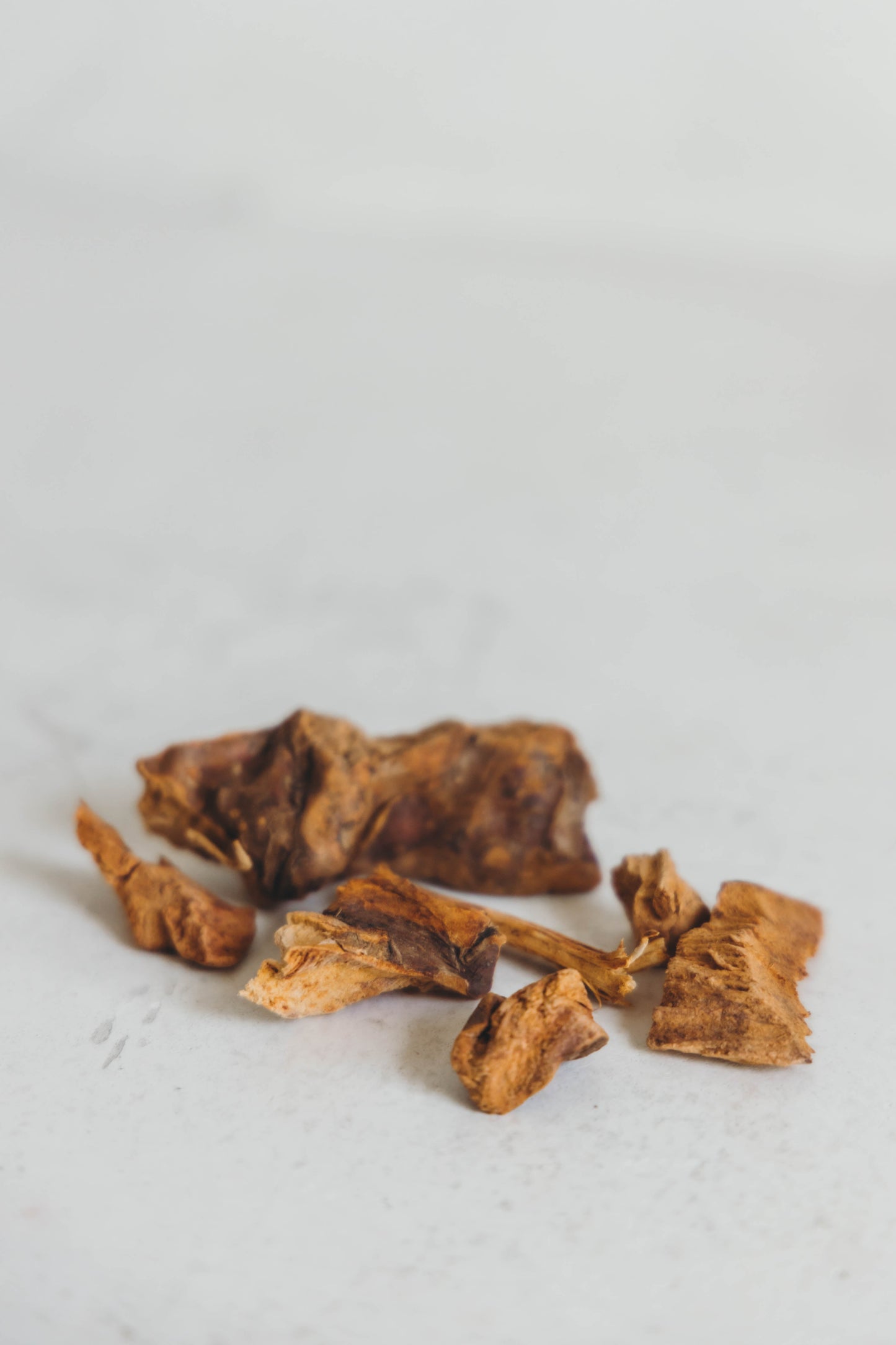 Chaney Root