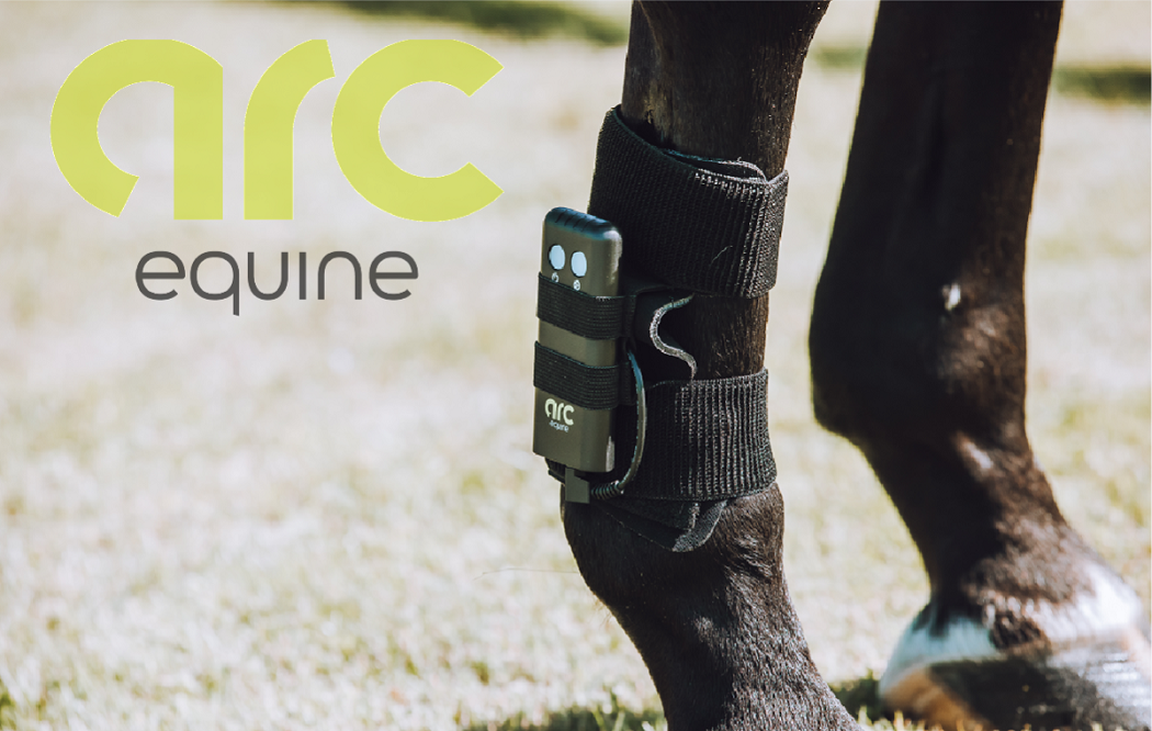 ARC Equine Therapy System Leg Strap