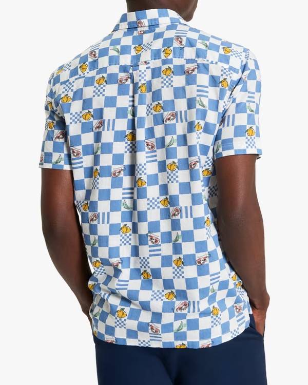Access Daily Paul Zahn Blue and White Check Shirt