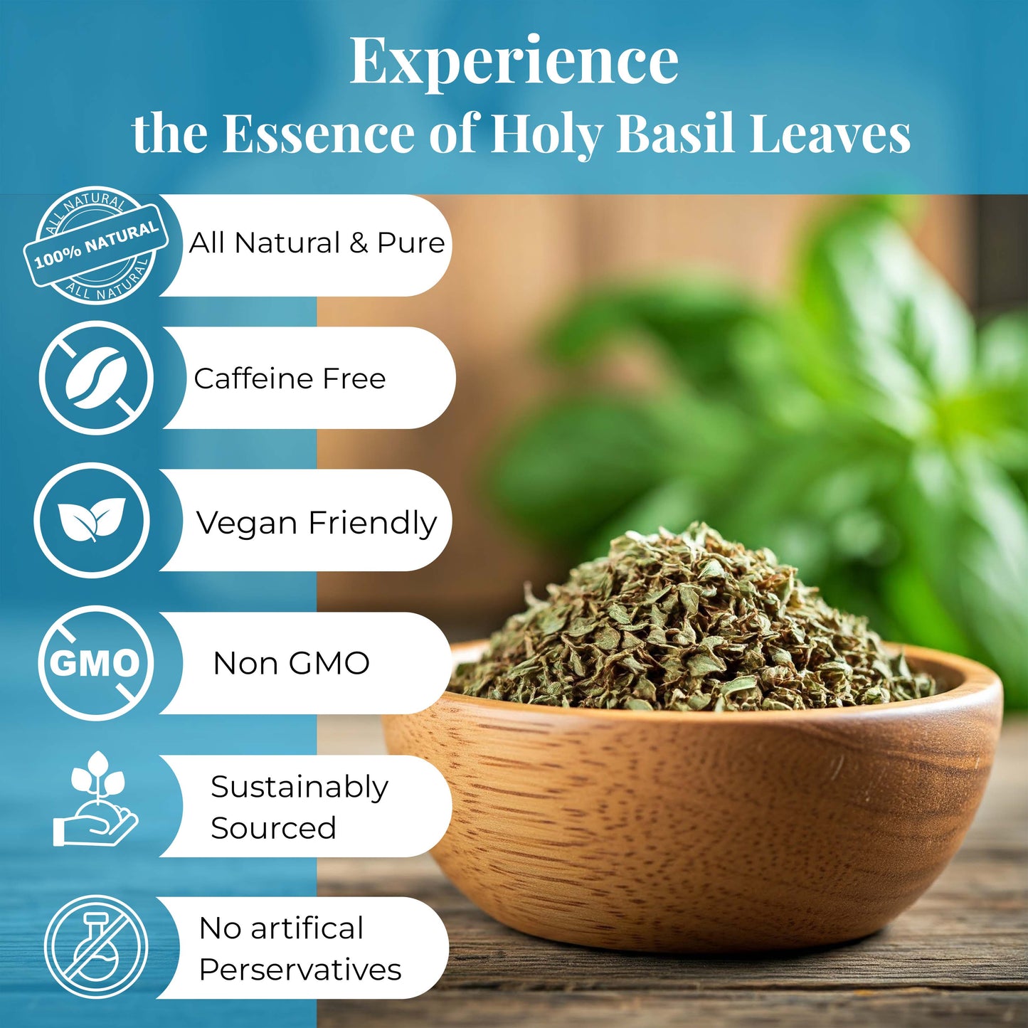 Akshit Holy Basil Leaves ,Naturally Dried Leaves, 100% Pure Holy Basil (Tulsi) Tea , No Caffeine, No Additives, Vegan - 2.6oz