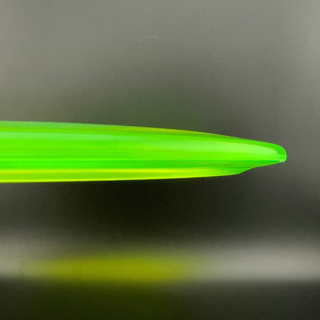 Champion FL (Penned) - F2