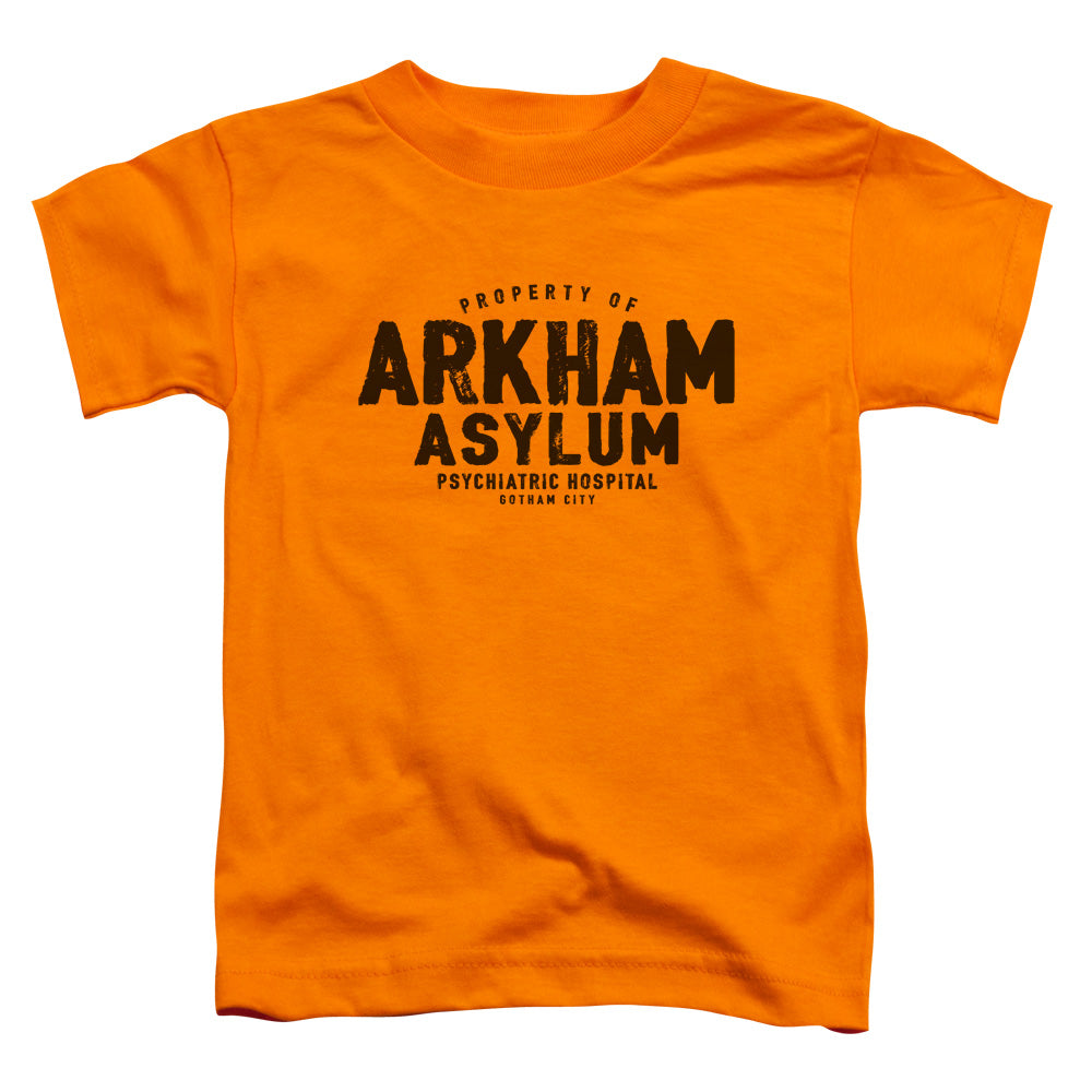 Batman Arkham Asylum Toddler Kids Youth T Shirt Orange Officially Licensed