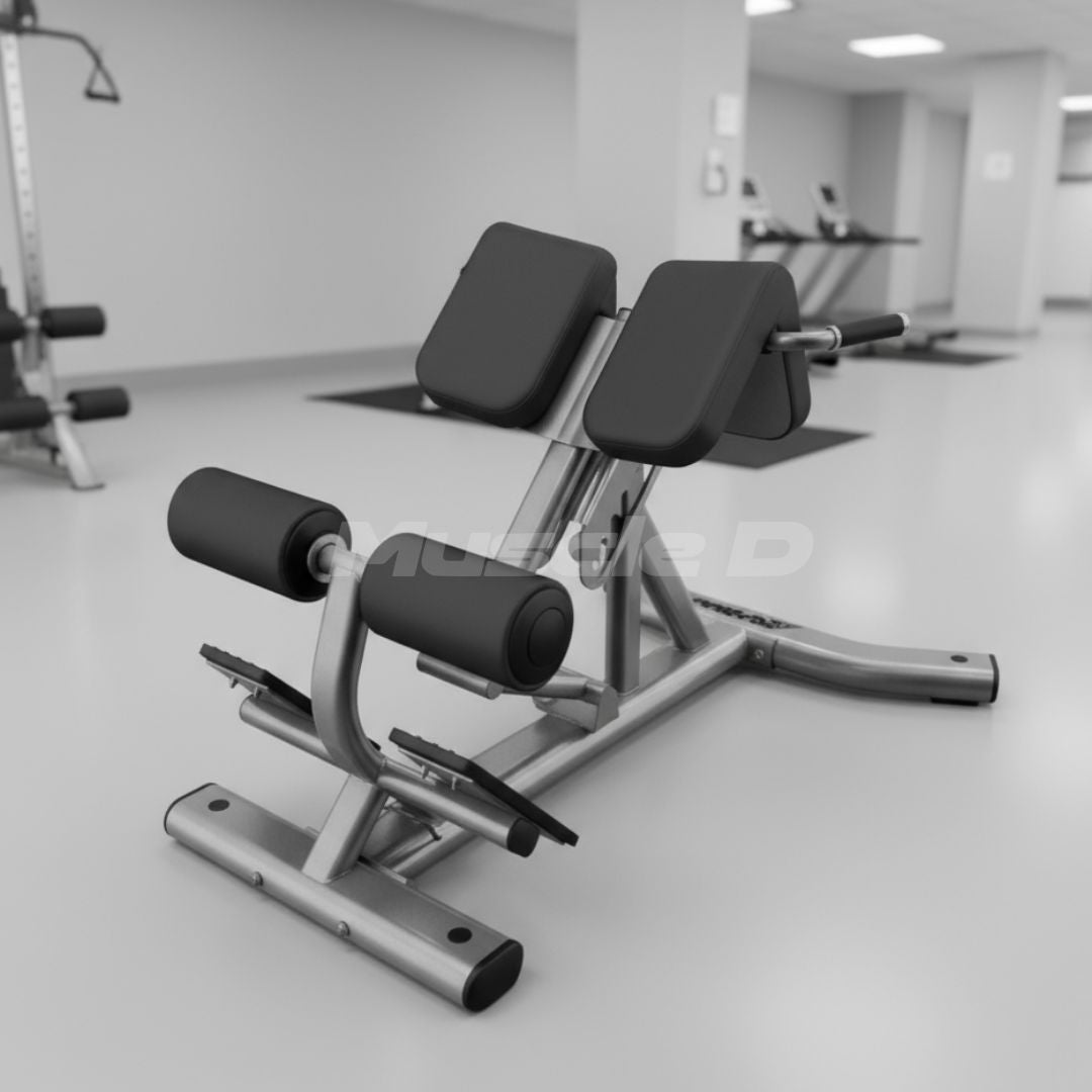 Back Extension Bench - Muscle D Fitness - Premium Upholstery Lower Back, Roman Chair