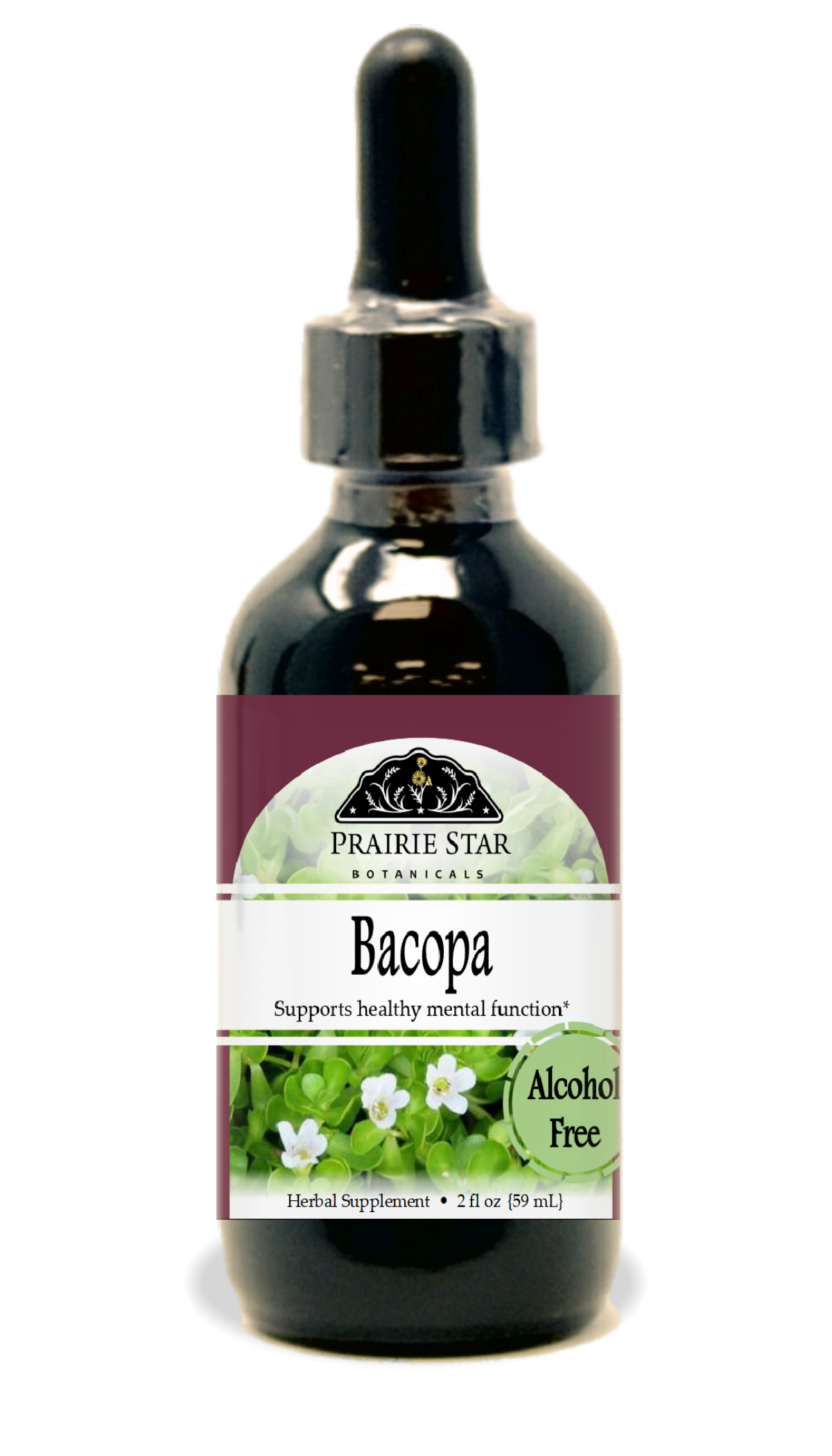 Bacopa