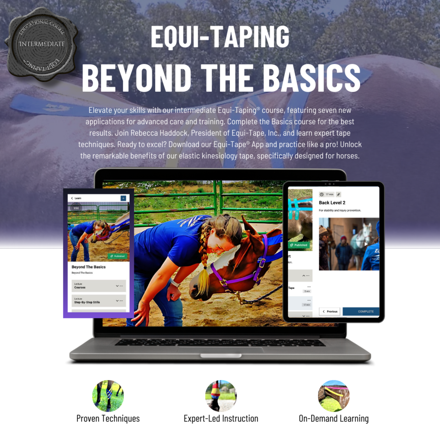 Non Pro Education Bundle