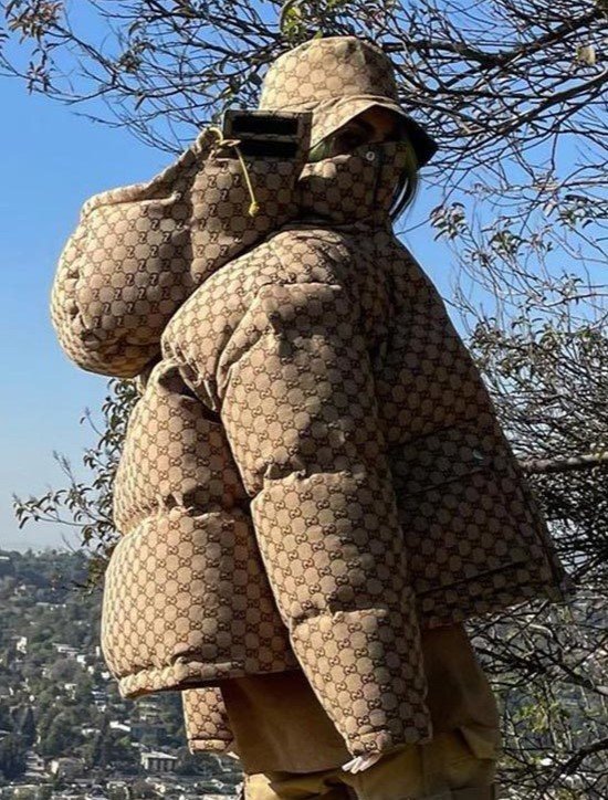 Billie Eilish The North Face Puffer Jacket