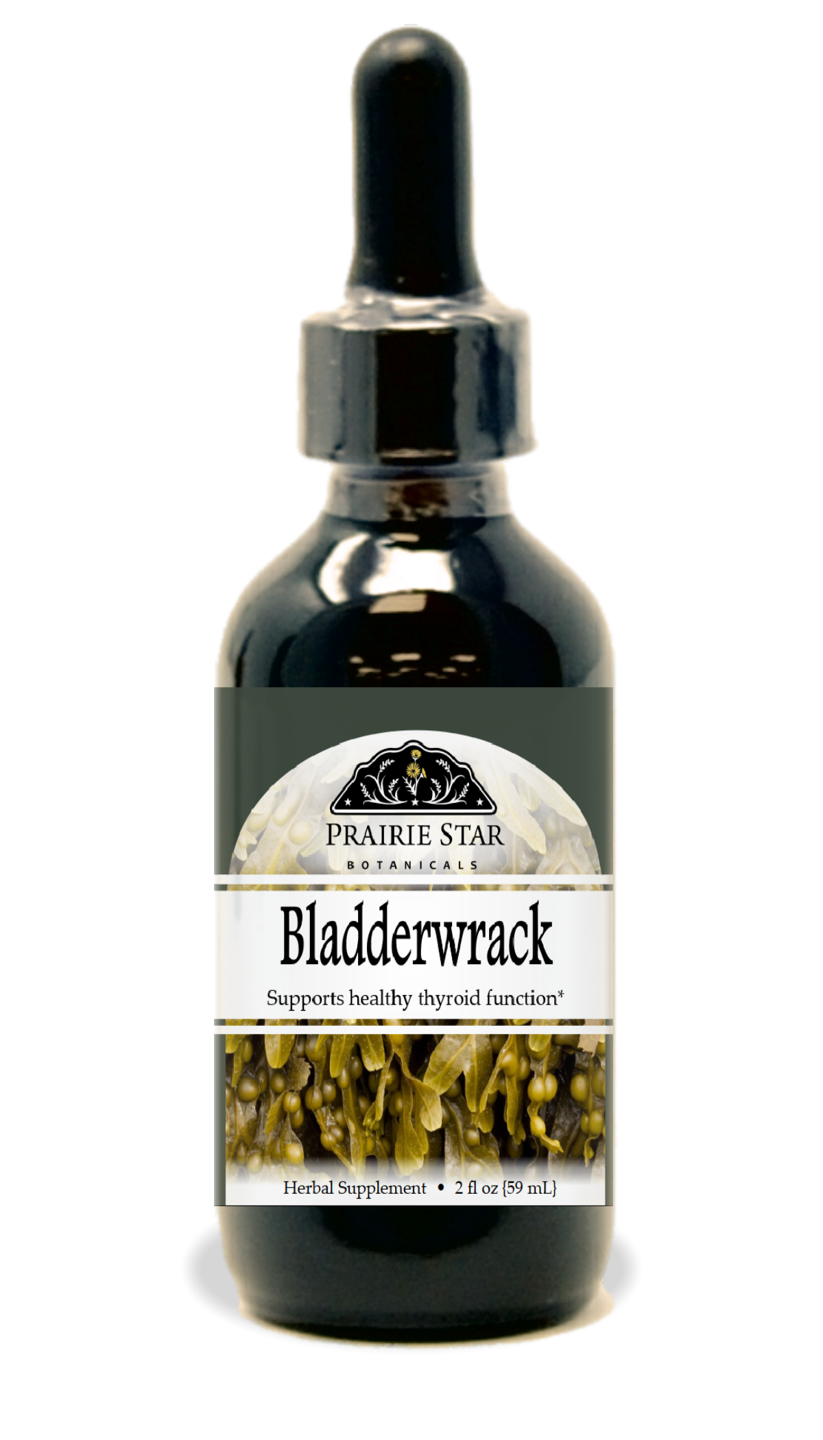 Bladderwrack