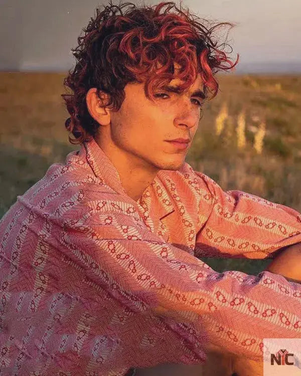 Bones And All Timothée Chalamet Shirt