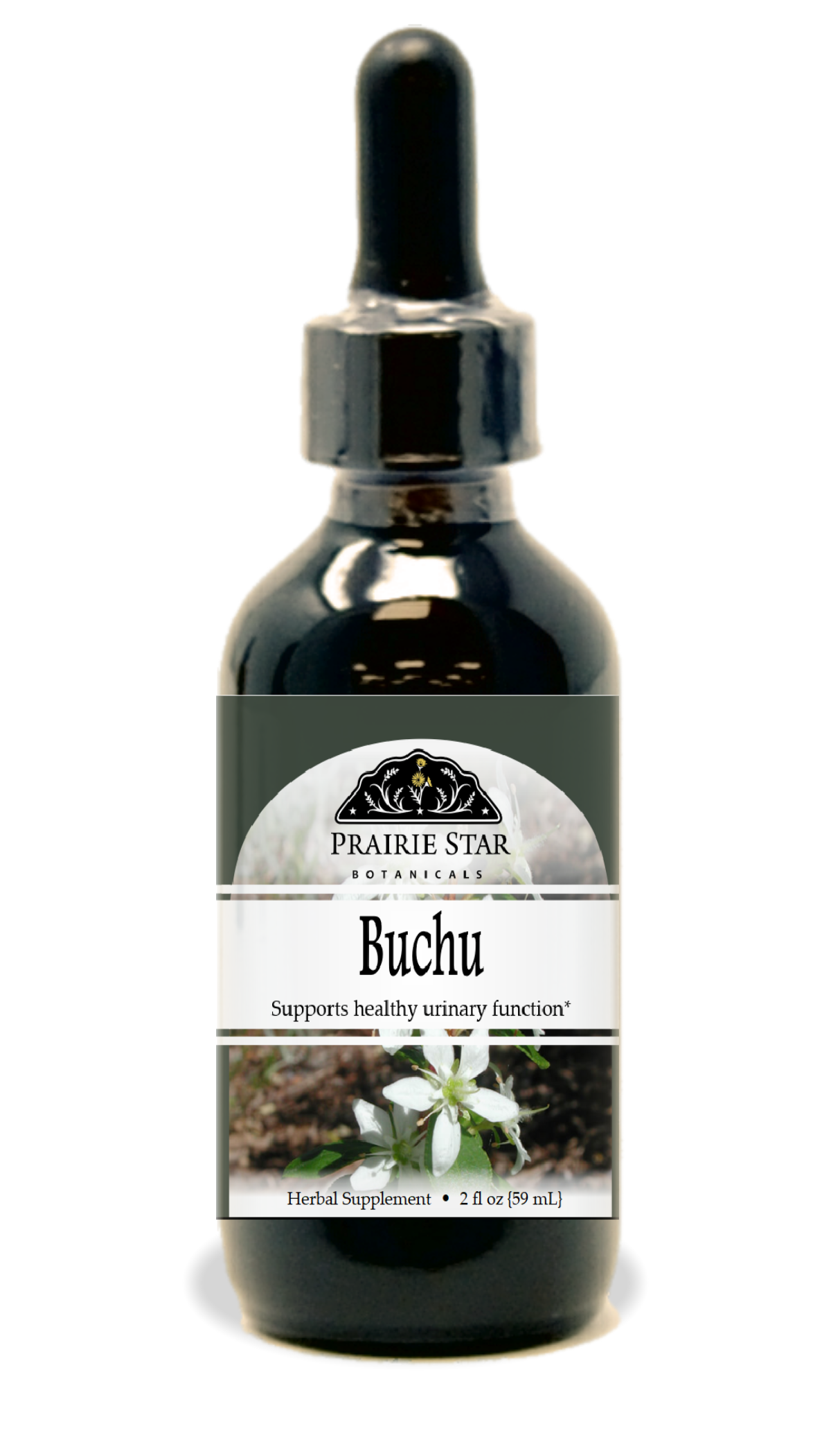 Buchu