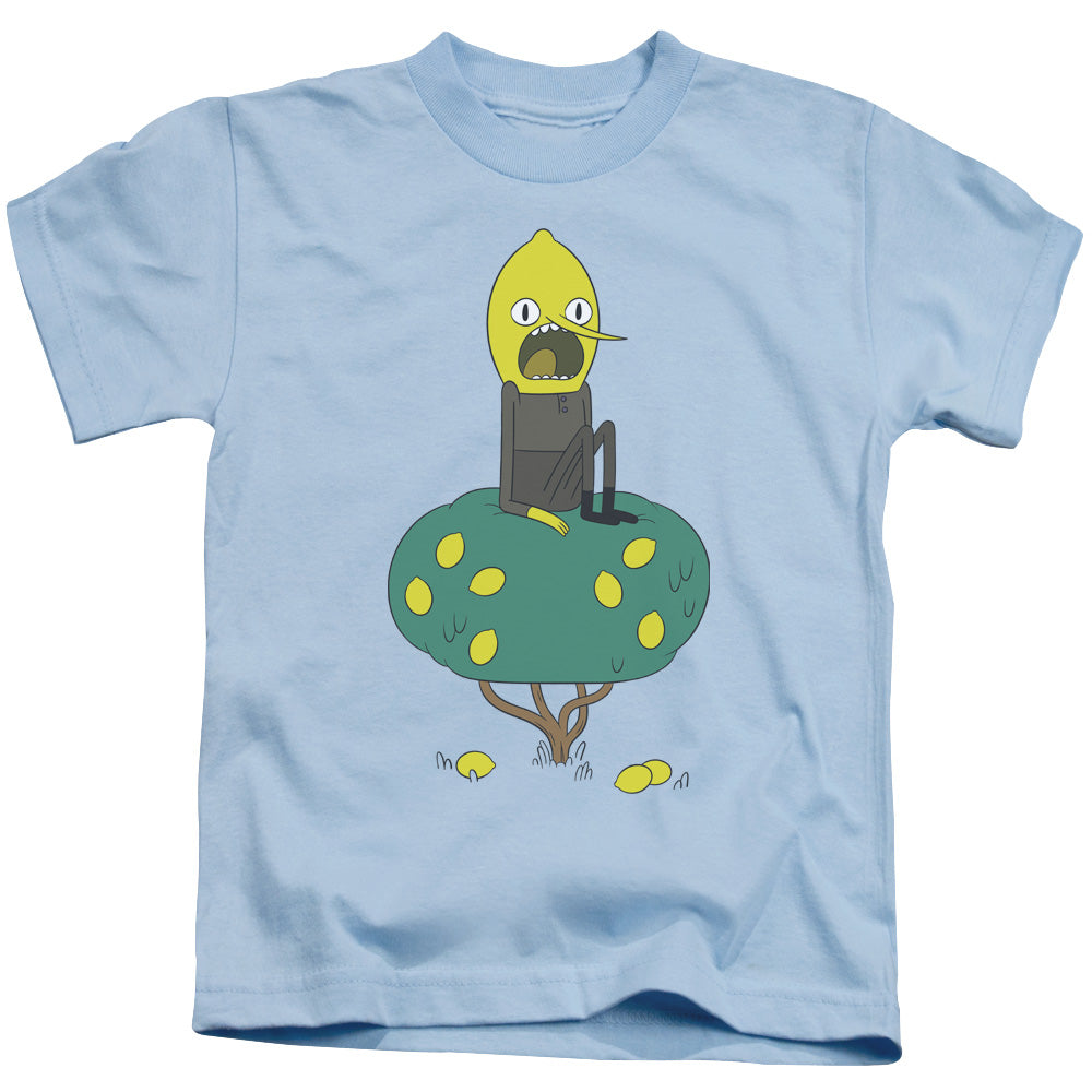 Adventure Time Lemongrab Juvenile Kids Youth T Shirt Light Blue Officially Licensed