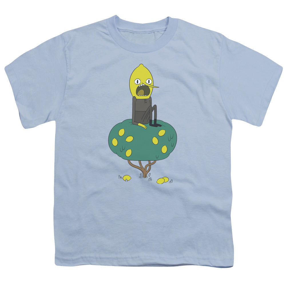 Adventure Time Lemongrab Kids Youth T Shirt Light Blue Officially Licensed