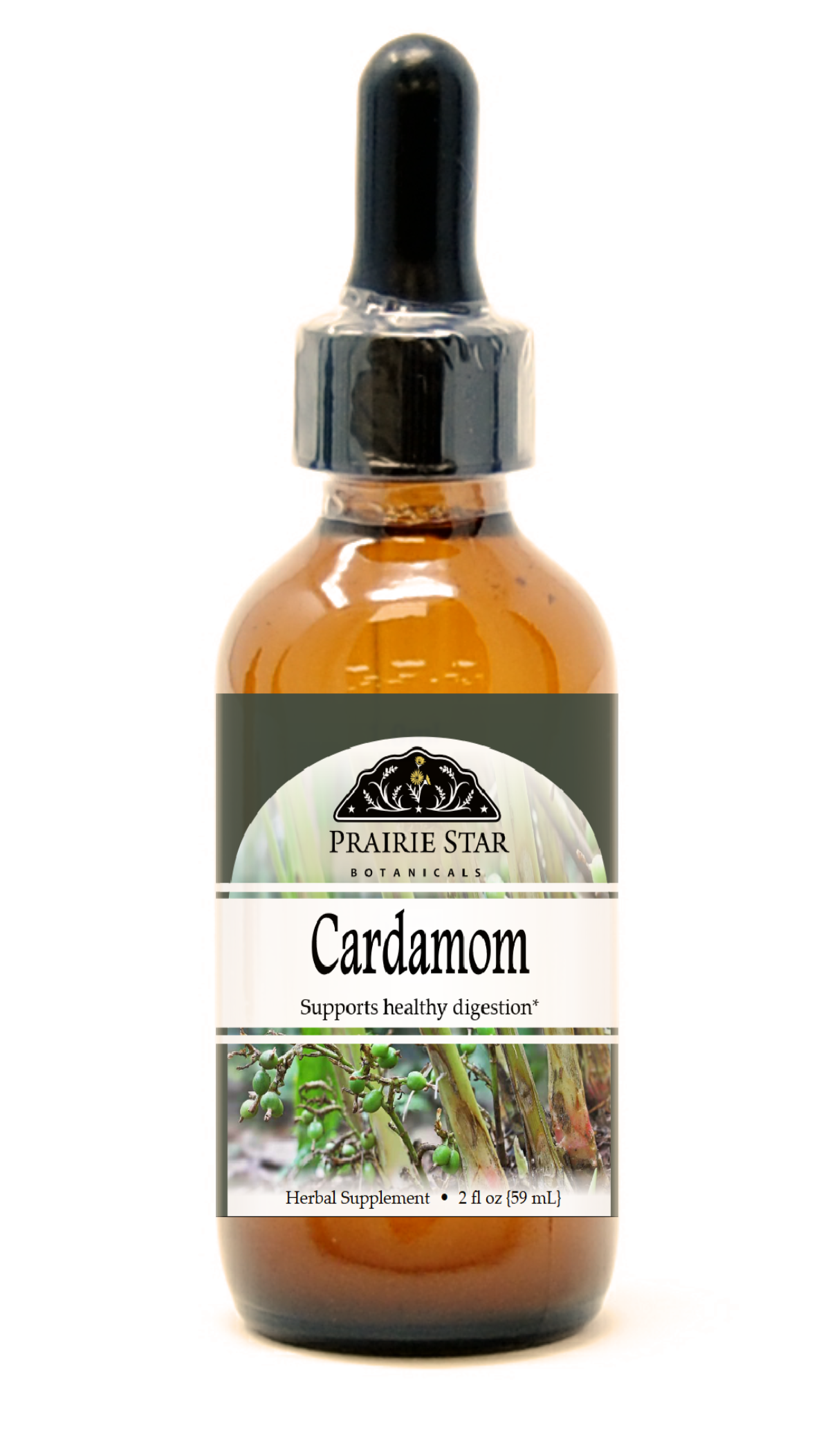 Cardamom