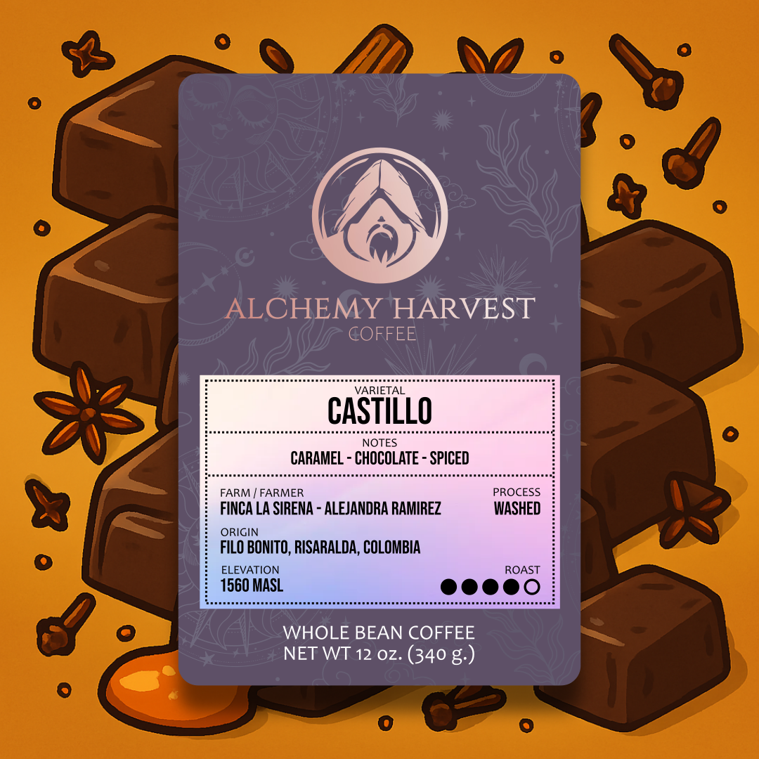 Castillo - Washed