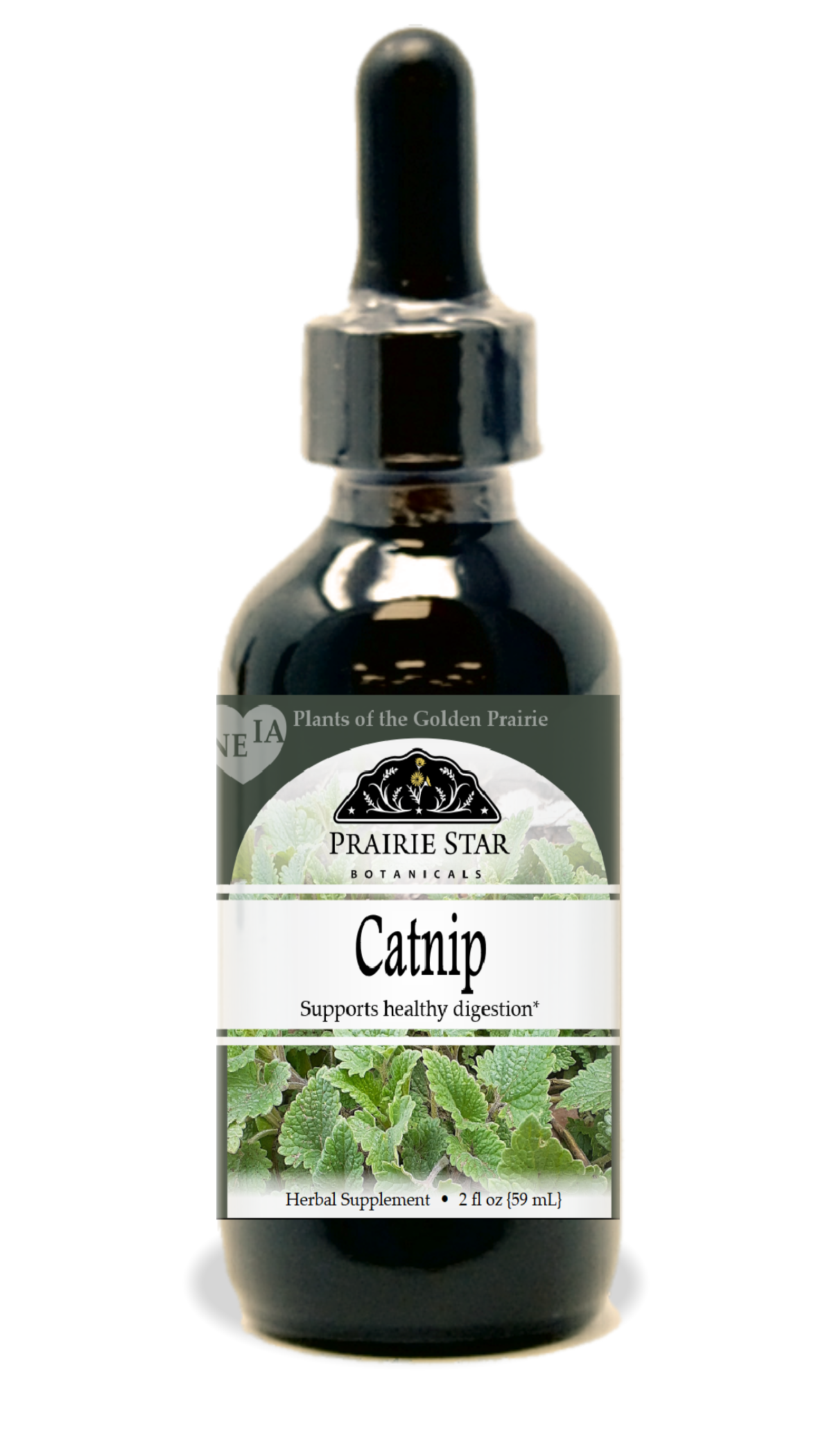 Catnip