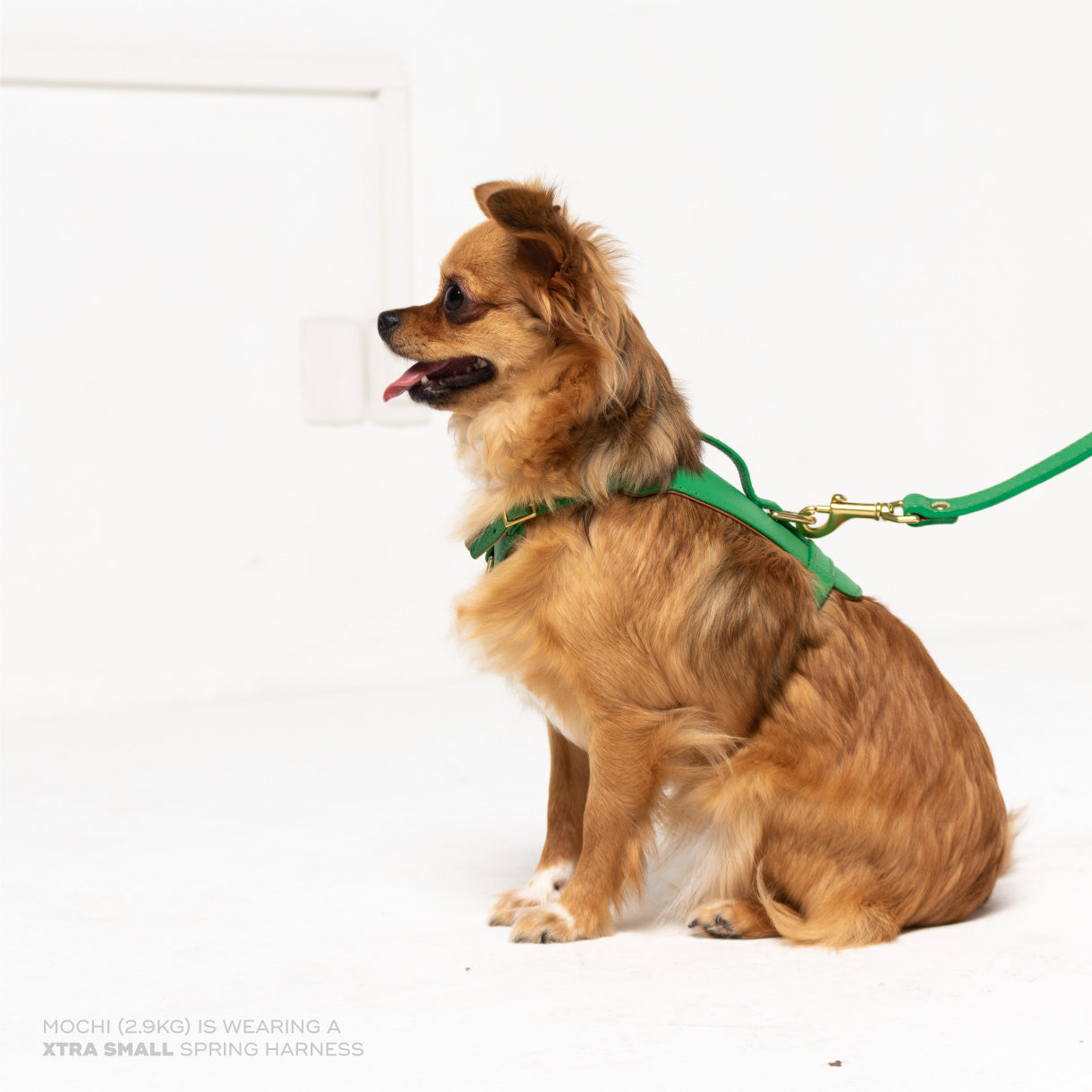 Spring Heritage Harness