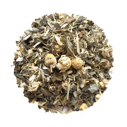 Coastal Calm For Kids