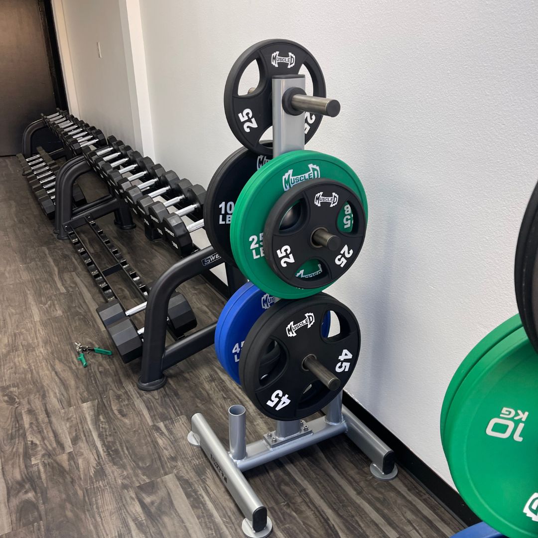 Color Urethane Bumper Plates - Smooth Hub - Made for Heavy Use
