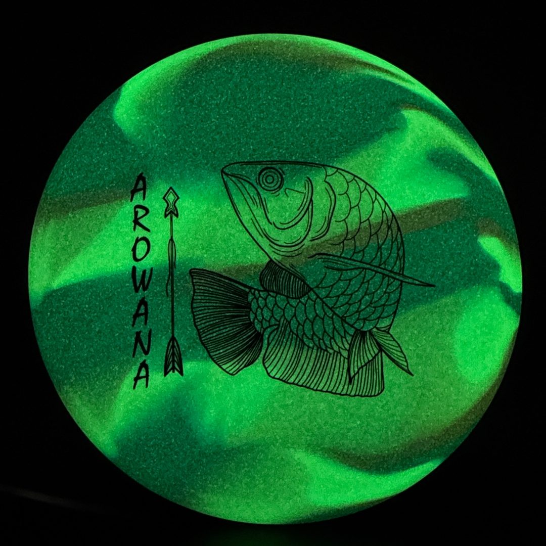 glO-G Arowana