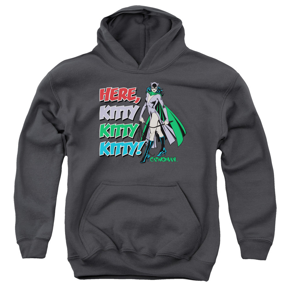 DC Comics Here Kitty Kids Youth Hoodie Charcoal Officially Licensed