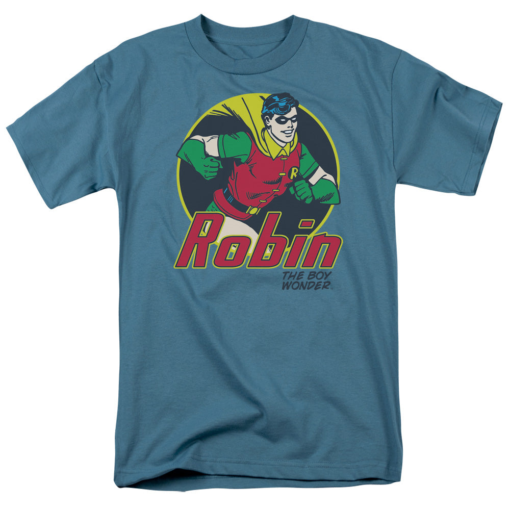 DC Comics the Boy Wonder Mens T Shirt Slate Officially Licensed