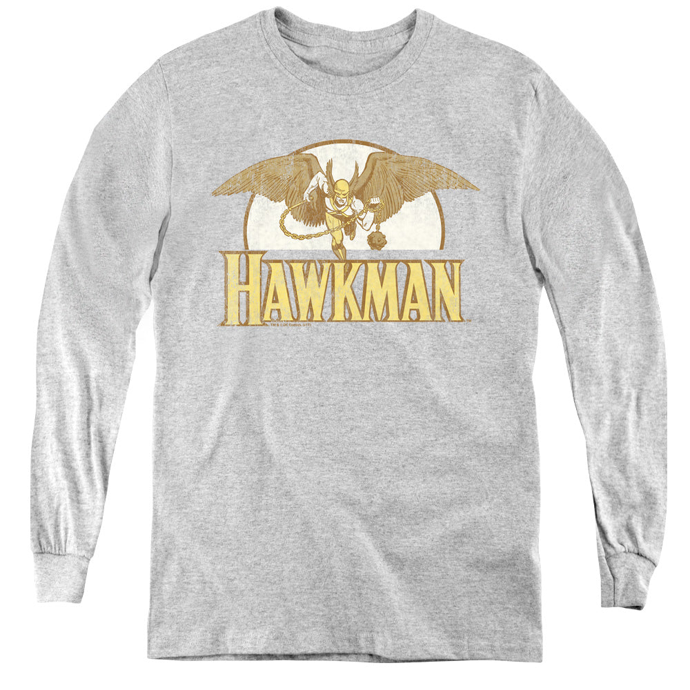 DC Comics Fly by Long Sleeve Kids Youth T Shirt Athletic Heather Officially Licensed
