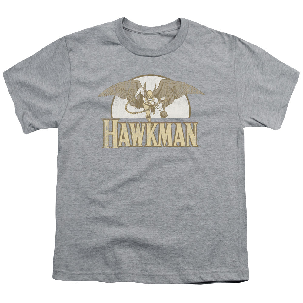 DC Comics Fly by Kids Youth T Shirt Athletic Heather Officially Licensed