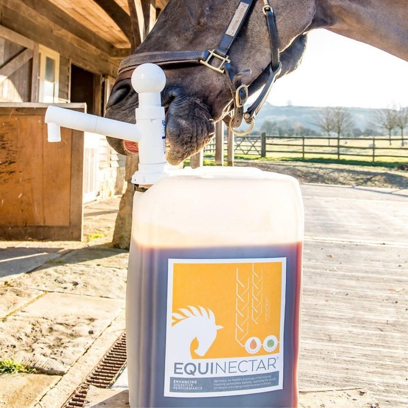 EquiNectar®