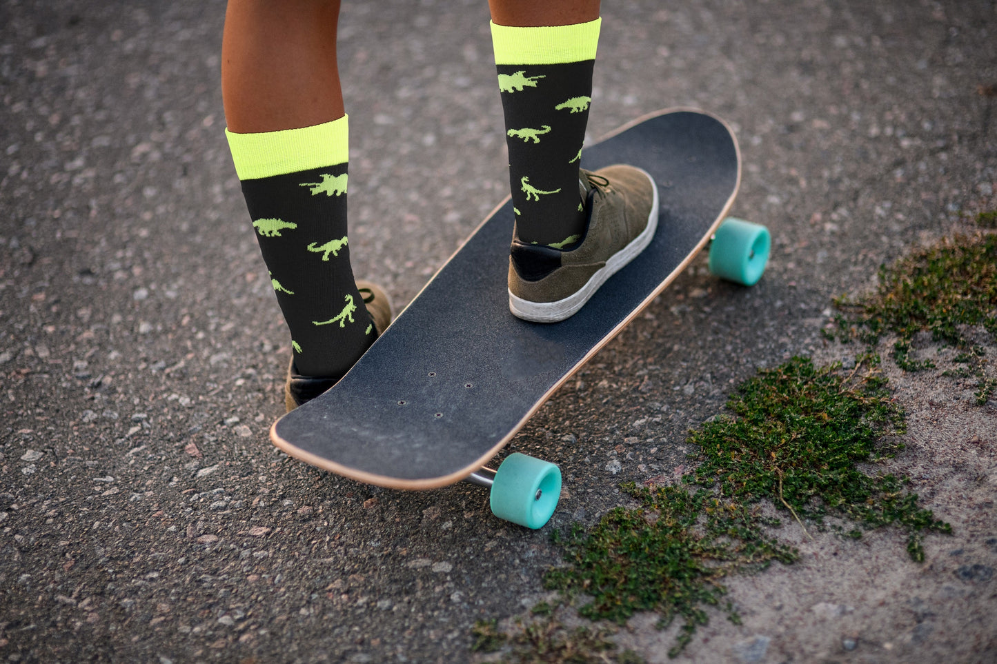 Dinosaur Socks - Comfy Cotton for Men & Women