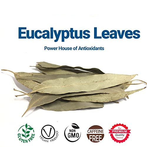 Eucalyptus Tea, Dried Eucalyptus leaves, 2.6 oz, Te De Eucalipto, Eucalipto Hojas Naturales, Detox Tea, Eucalyptus, Caffeine free. Brews 40 cups of Herbal Tea.