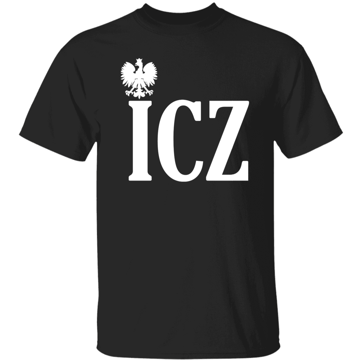 ICZ Polish Surname Ending