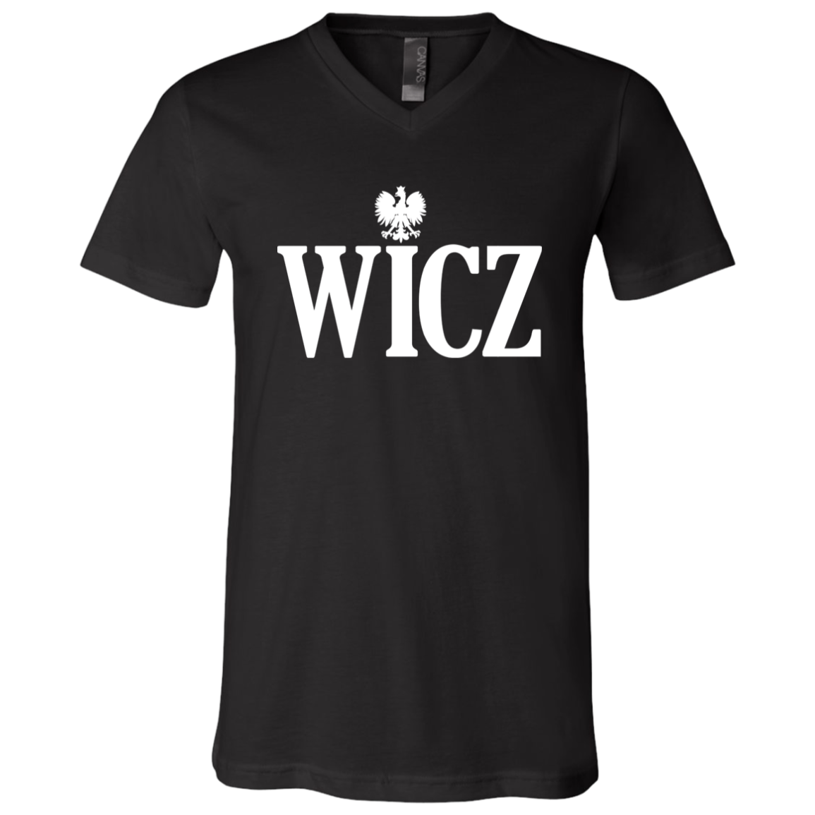 WICZ Polish Surname Ending