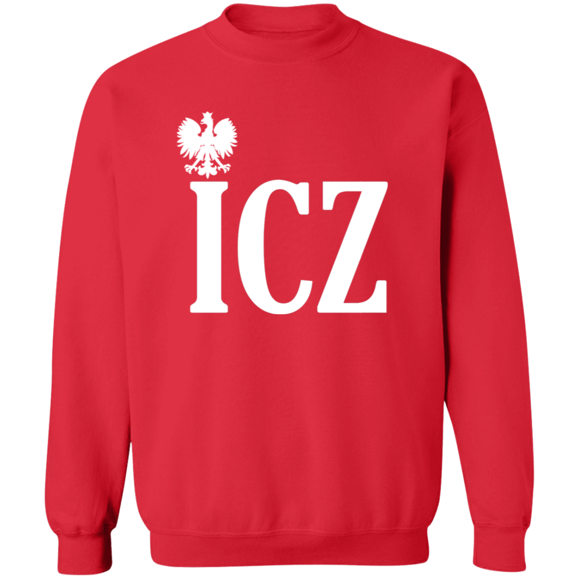 ICZ Polish Surname Ending