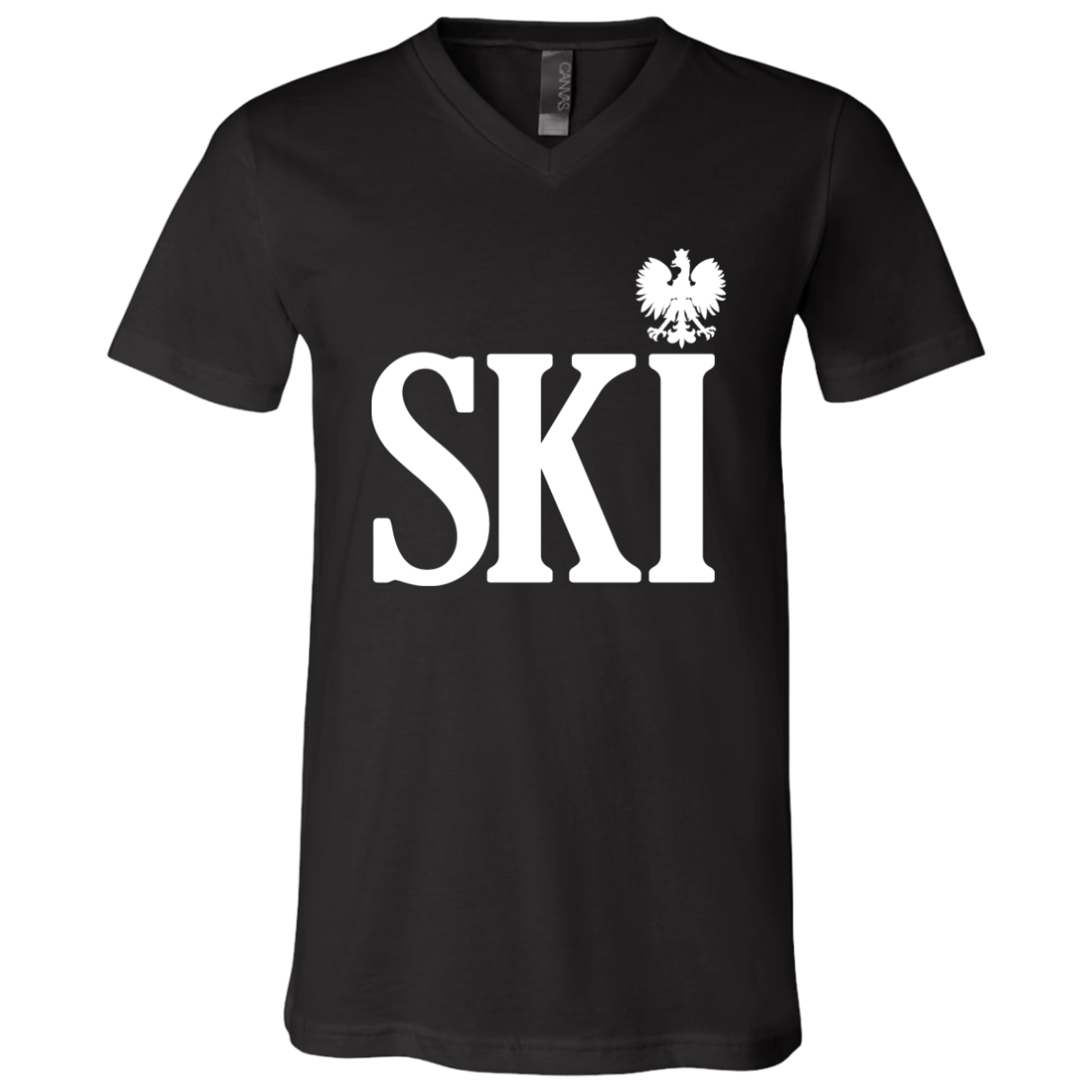 SKI Polish Surname Ending