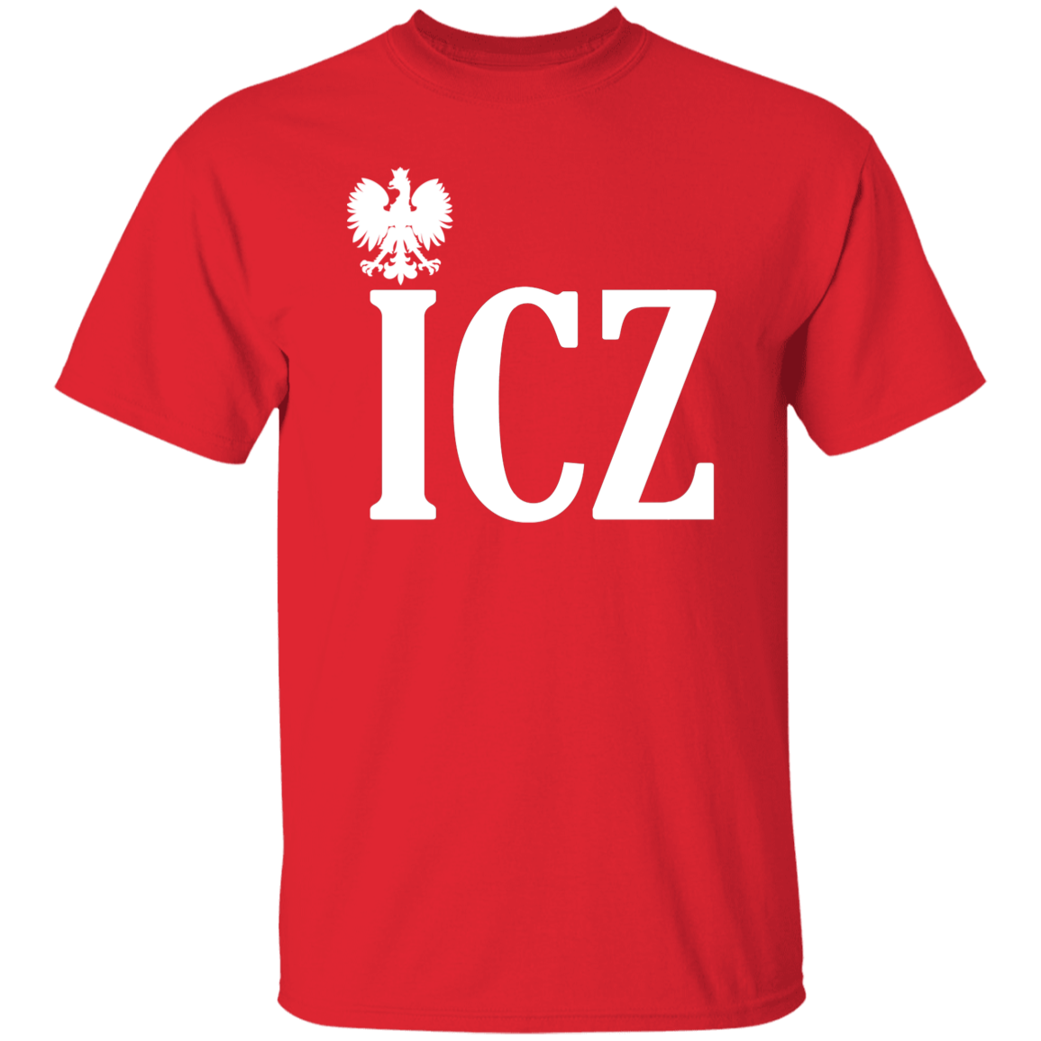ICZ Polish Surname Ending
