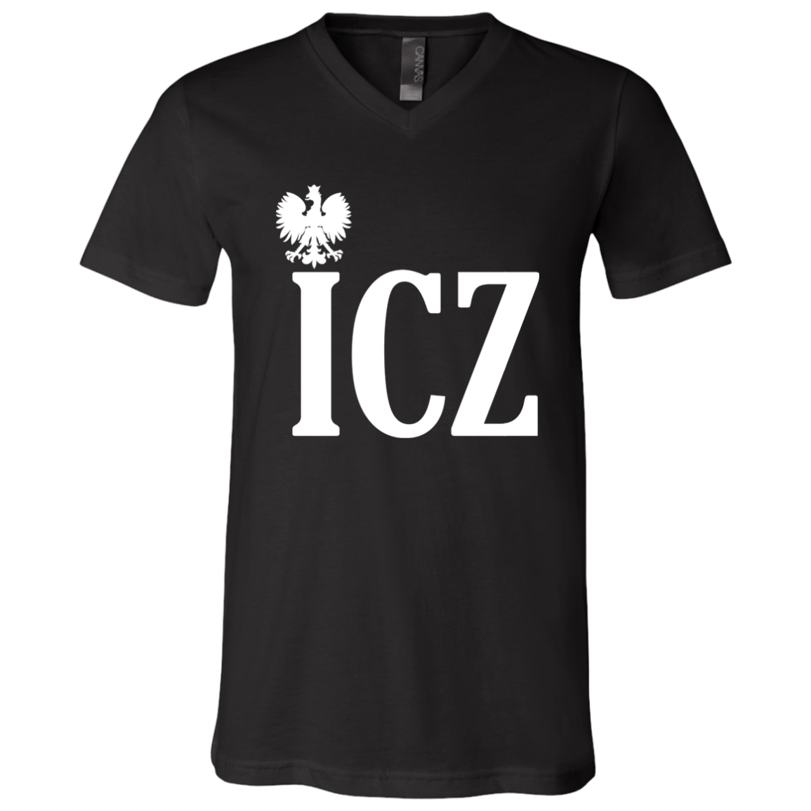 ICZ Polish Surname Ending