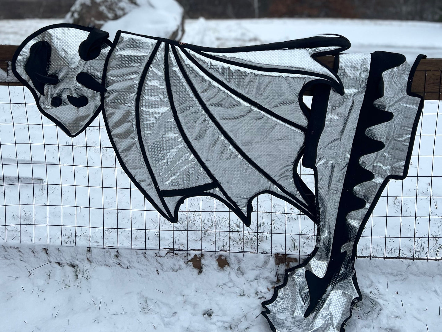 LAST CALL - Dragon Wings