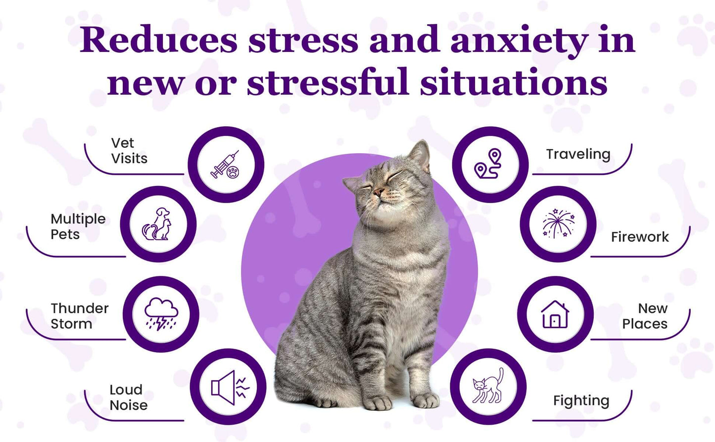 Purrfect Cat Calming Diffuser Kit with 2 Refills