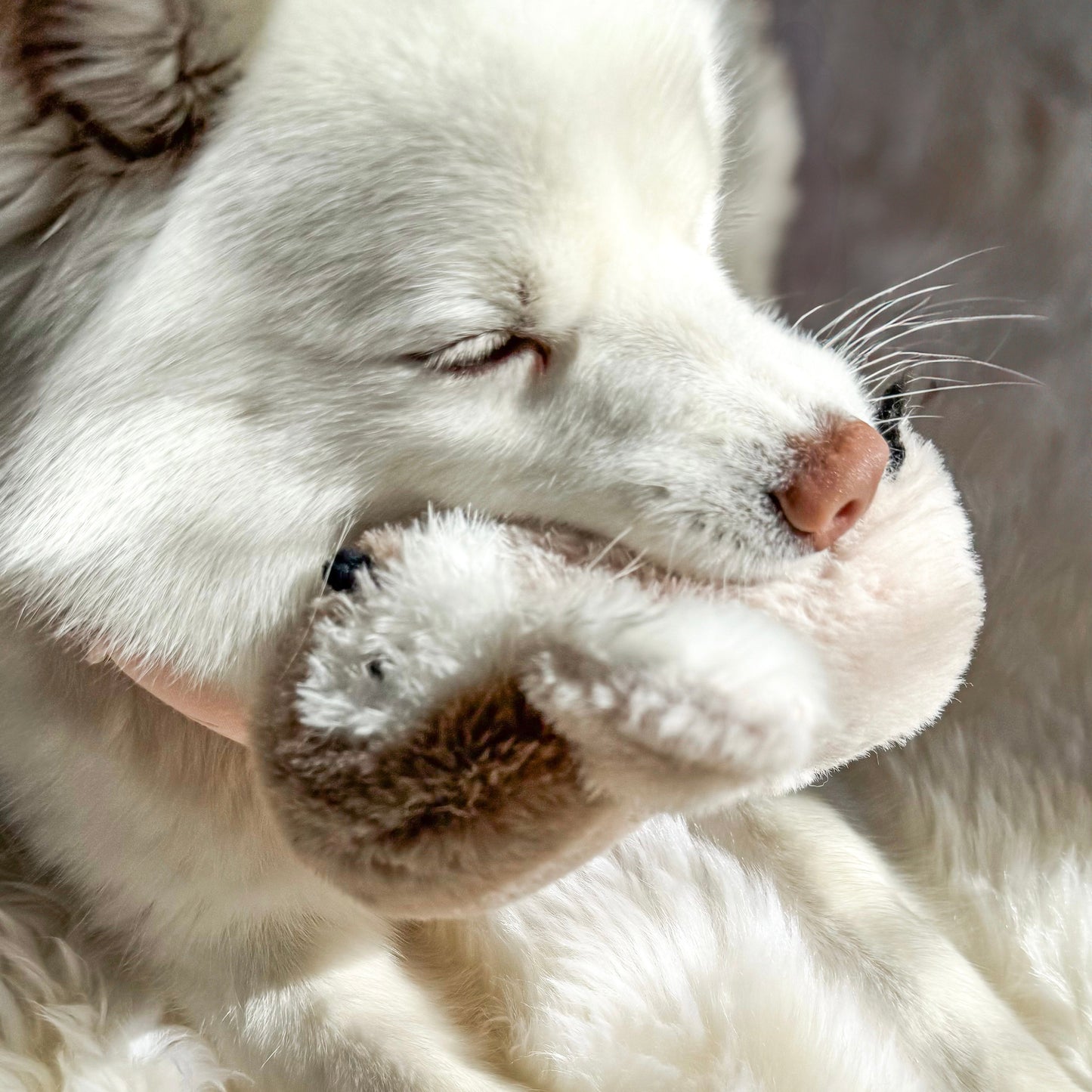 Pegy Mini Plushie