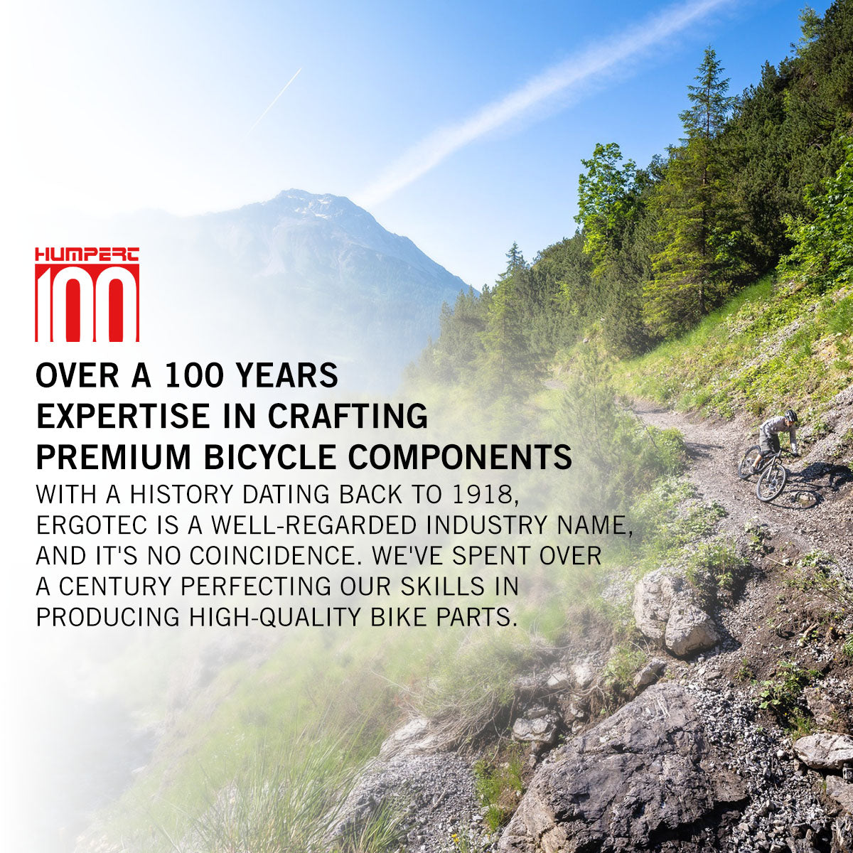 Ergotec - Saddle Comfort L (265 x 206 / 430g | Black / Brown)