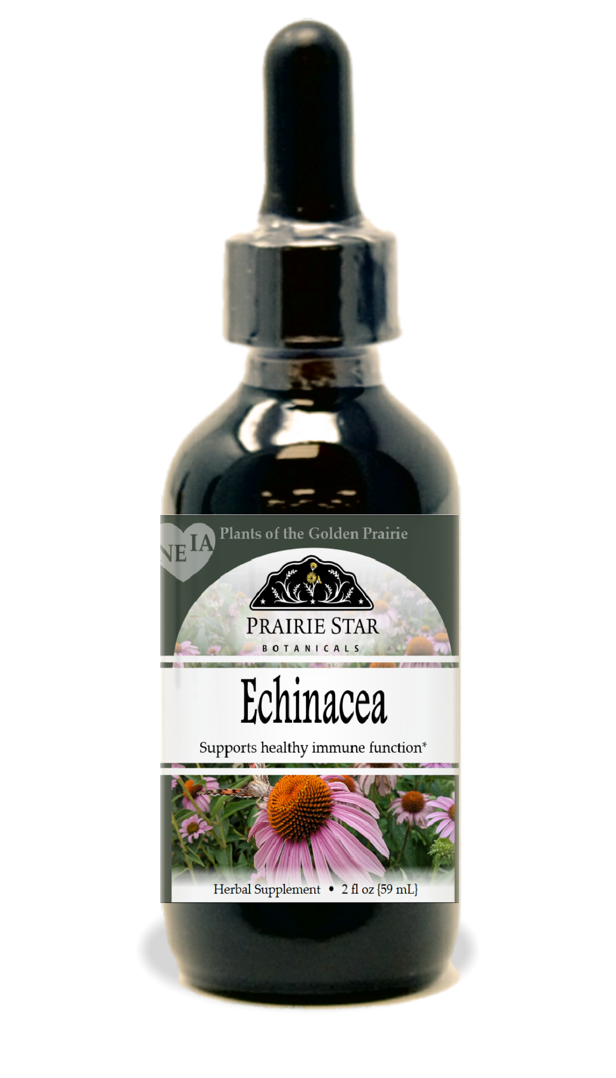 Echinacea