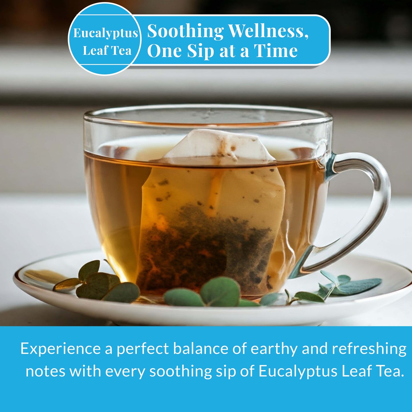 Akshit Eucalyptus Tea Bags - 75 Count, From Pure Eucalyptus Leaves - Perfect for Relaxation