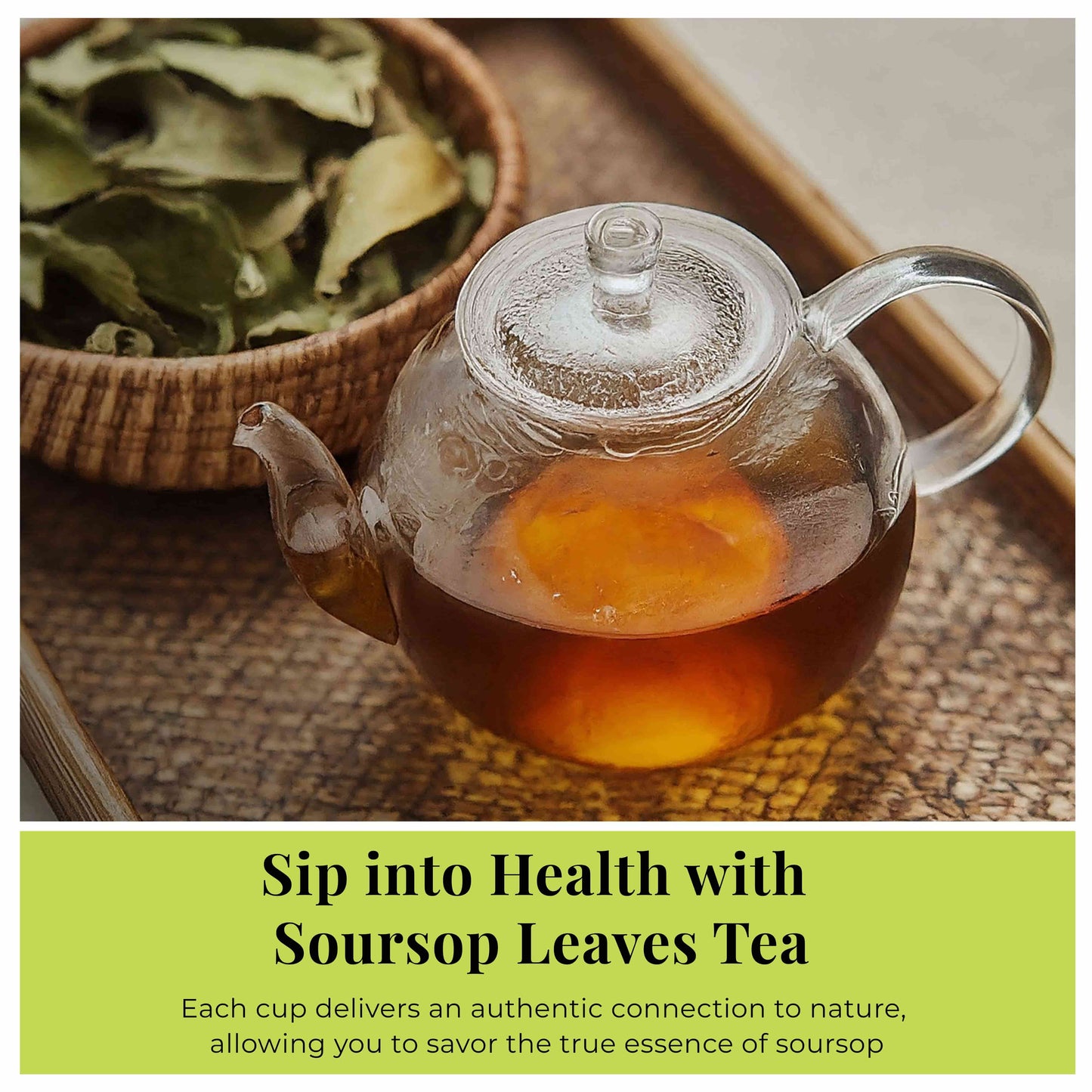 200+ Premium Dried Soursop Graviola Leaves Tea – 2.6 oz , 100% Natural Soursop Tea, Caffeine-Free Herbal Tea (Hoja Guanabana)