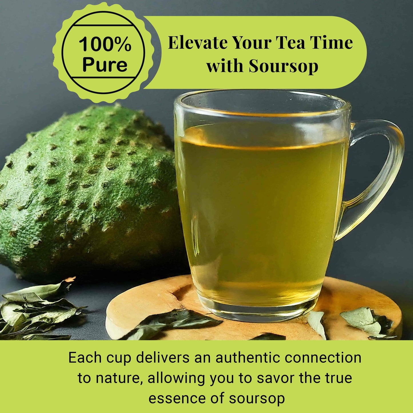 200+ Premium Dried Soursop Graviola Leaves Tea – 2.6 oz , 100% Natural Soursop Tea, Caffeine-Free Herbal Tea (Hoja Guanabana)