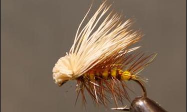 Elk Hair Caddis - 8 Colors!