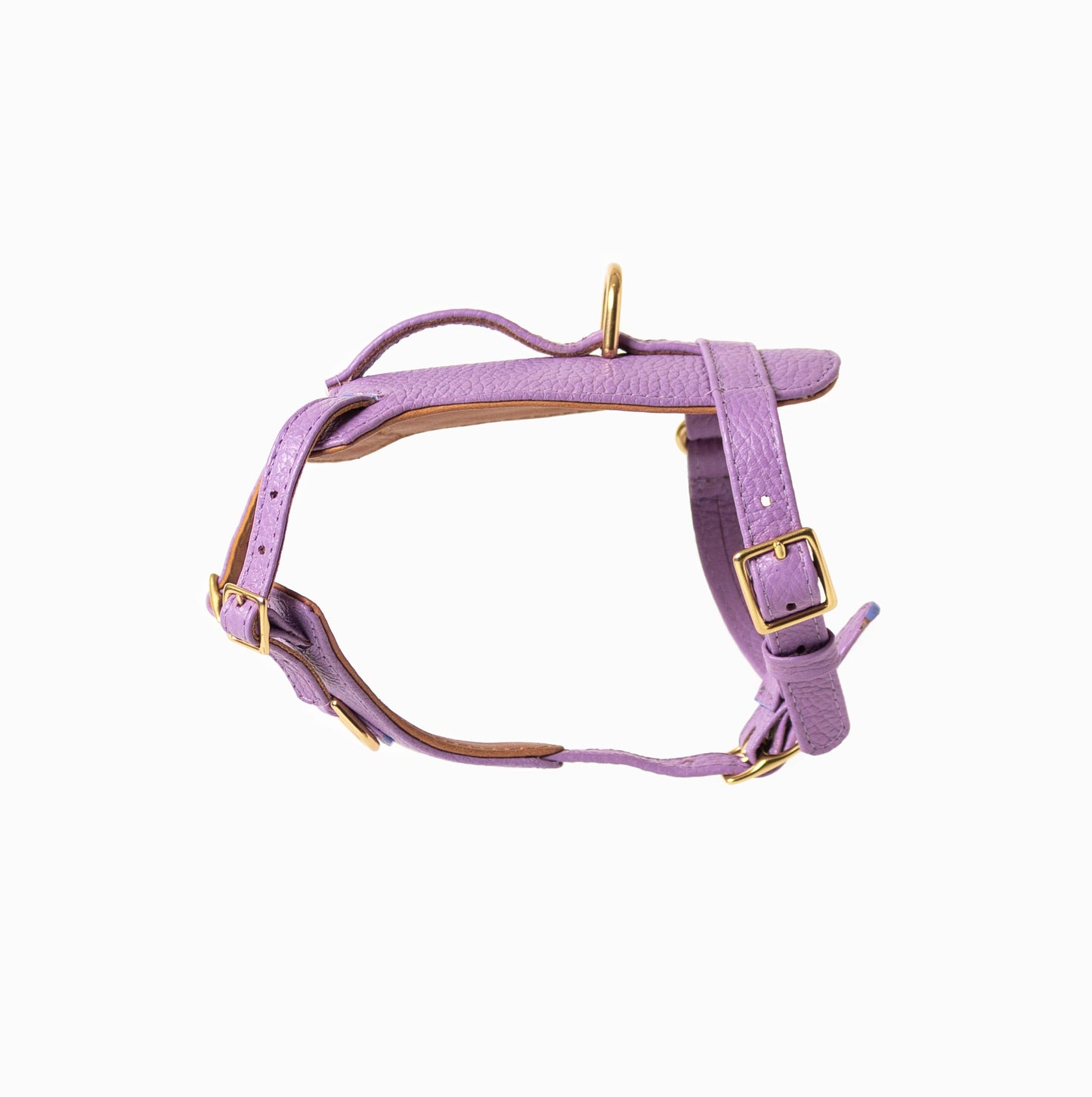 Fairy Heritage Harness